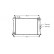 Radiateur, refroidissement du moteur *** IR PLUS *** 02002068 International Radiators Plus