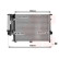 Radiateur, refroidissement du moteur *** IR PLUS *** 06002122 International Radiators Plus, Vignette 4
