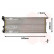 Radiateur, refroidissement du moteur *** IR PLUS *** 17002074 International Radiators Plus, Vignette 2