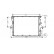 Radiateur, refroidissement du moteur *** IR PLUS *** 58002214 International Radiators Plus