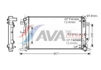 Radiateur, refroidissement du moteur MS2445 Ava Quality Cooling