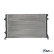 Radiateur, refroidissement du moteur VN2204 Ava Quality Cooling, Vignette 4