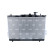 Radiateur, refroidissement du moteur, Vignette 3