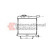 RADIATEUR VOYAGEUR 07002005 International Radiators, Vignette 2