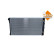 Radiateur, Vignette 2