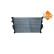 Radiateur, Vignette 4