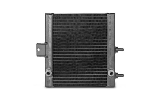 Refroidisseur latéral de compétition Wagner Tuning pour BMW M2, Image 3