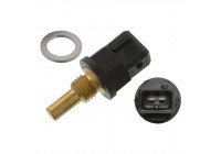 Sonde de température, liquide de refroidissement 36417 FEBI