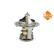 Thermostat d'eau EASY FIT, Vignette 4