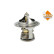 Thermostat d'eau EASY FIT, Vignette 6