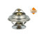 Thermostat d'eau EASY FIT, Vignette 3
