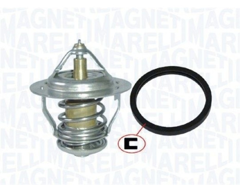 Thermostat d'eau