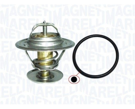 Thermostat d'eau