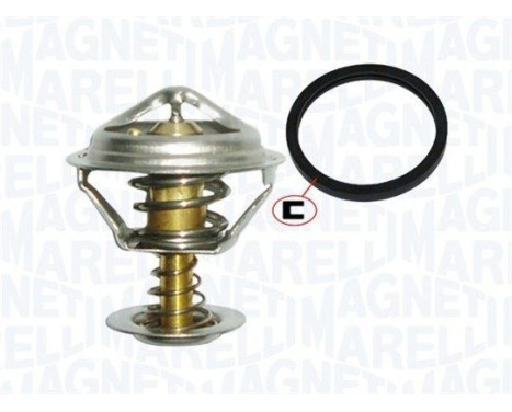 Thermostat d'eau