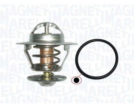 Thermostat d'eau