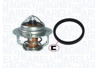 Thermostat d'eau