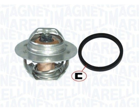 Thermostat d'eau