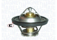Thermostat d'eau