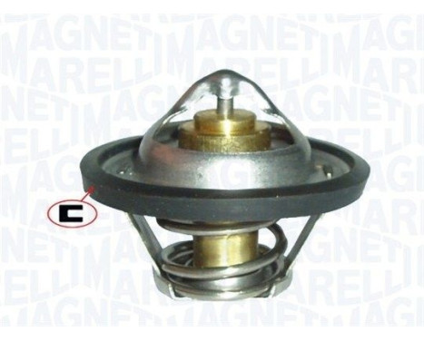 Thermostat d'eau