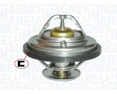 Thermostat d'eau