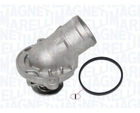 Thermostat d'eau