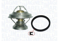 Thermostat d'eau