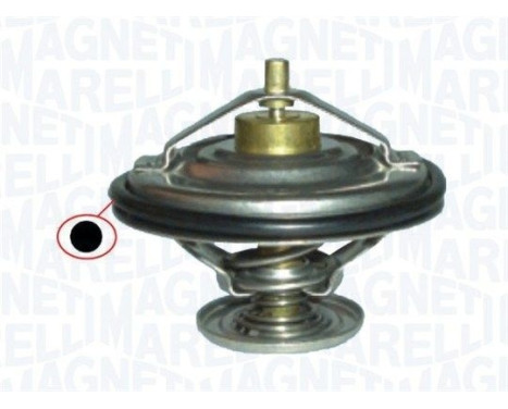Thermostat d'eau
