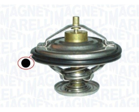 Thermostat d'eau