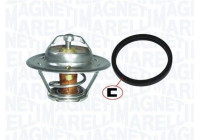Thermostat d'eau