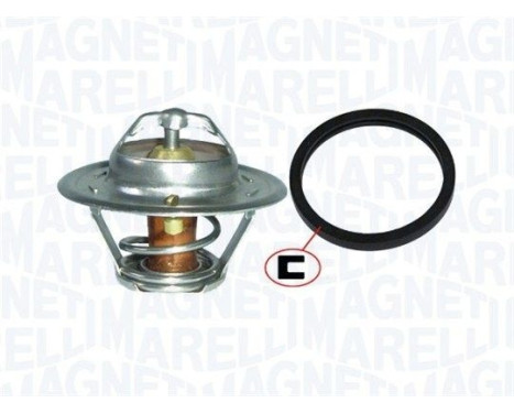 Thermostat d'eau