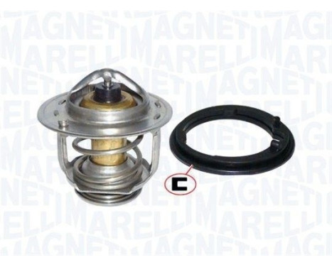 Thermostat d'eau