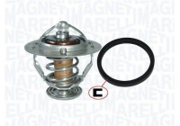 Thermostat d'eau