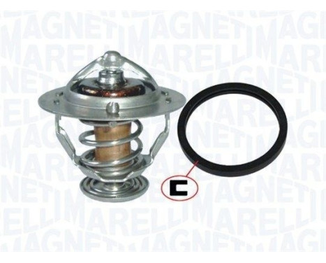 Thermostat d'eau