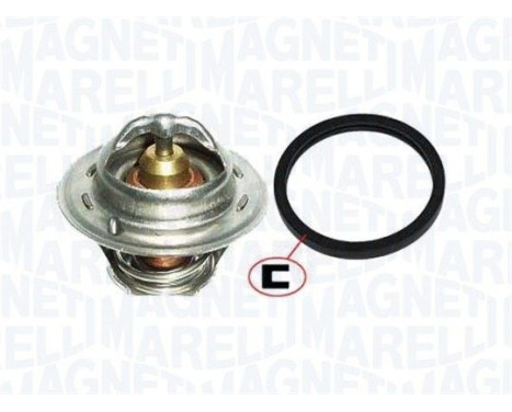 Thermostat d'eau