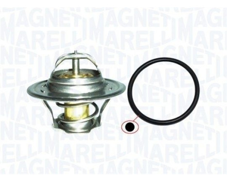 Thermostat d'eau