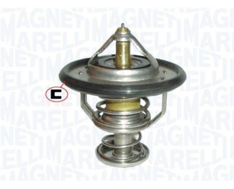 Thermostat d'eau