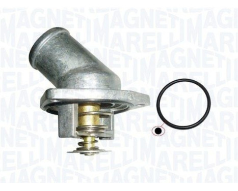 Thermostat d'eau