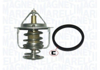 Thermostat d'eau