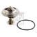 Thermostat d'eau 10263 FEBI, Vignette 2