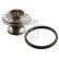 Thermostat d'eau 10264 FEBI, Vignette 2