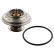 Thermostat d'eau 10266 FEBI