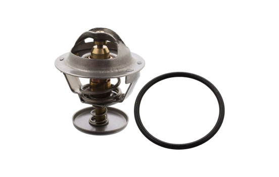 Thermostat d'eau 106022 FEBI