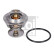 Thermostat d'eau 106022 FEBI, Vignette 2