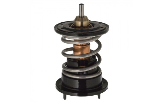 Thermostat d'eau 106284 FEBI
