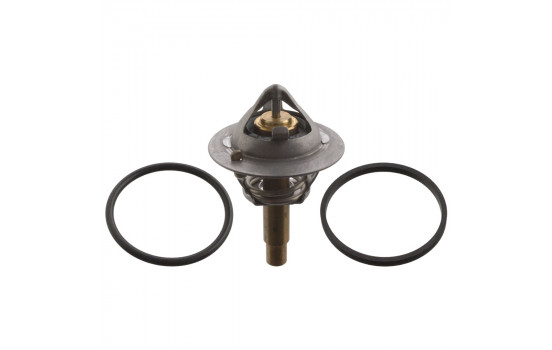 Thermostat d'eau 106507 FEBI