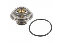 Thermostat d'eau 108104 FEBI