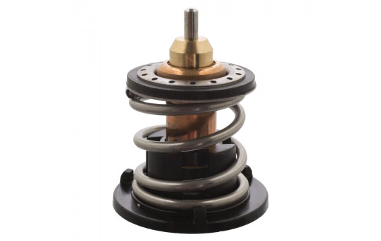 Thermostat d'eau 109338 FEBI