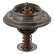 Thermostat d'eau 11119 FEBI