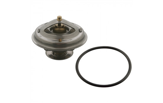 Thermostat d'eau 12193 FEBI