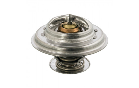 Thermostat d'eau 12254 FEBI